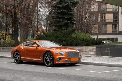 Bentley Continental GT купе, 6.0 л., полный привод, 2023 г. - Автомобили -  List.am