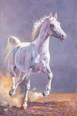 Портрет Смешного Белого Коня — стоковые фотографии и другие картинки Лошадь  - Лошадь, Пони, Изолированный предмет - iStock