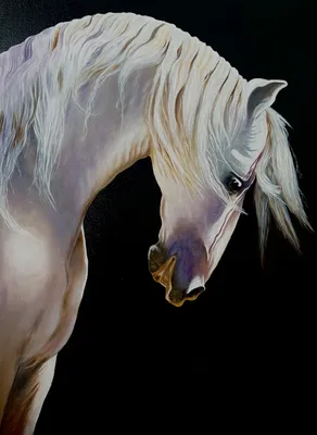 Купание белого коня — Фото №14014