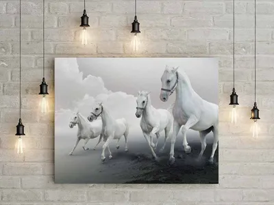 Animal Horse HD Wallpaper