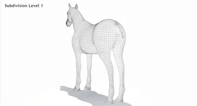 белая лошадь, белый конь, животное png | PNGEgg