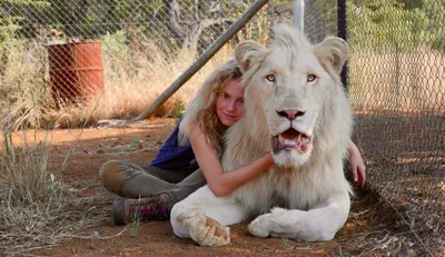 В Китае появились на свет детёныши африканского белого льва