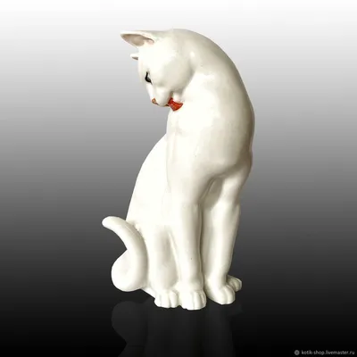 Белый кот: милота и пушистость» — создано в Шедевруме