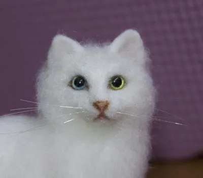 Мягкая игрушка \"Большой пушистый кот\" 50 см белый - купить с доставкой по  выгодным ценам в интернет-магазине OZON (404679212)