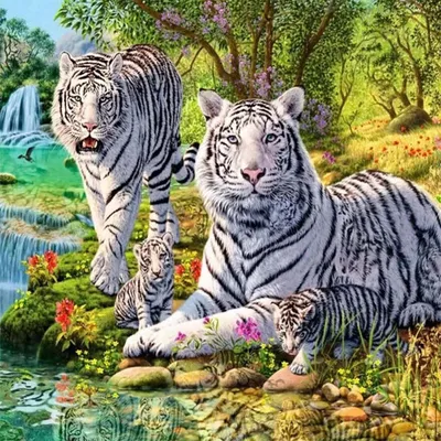 KH0692 Семейство белых тигров Раскраска картина по номерам на холсте купить  недорого в интернет магазине в Краснодаре, отзывы, фото