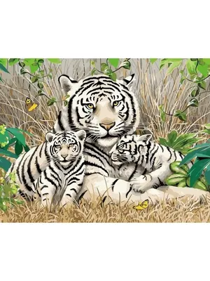 Фотообои Элит Декор Семейство белых тигров CH-1469: купить в  интернет-магазине «Элит Декор»