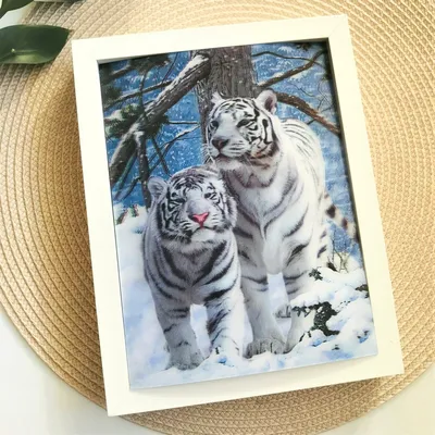 Two White Tiger Family Mystical Picture Art Poster Wall Print 24X36 New  TWHI | eBay