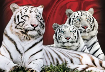 Семейство белых тигров на снегу» — создано в Шедевруме