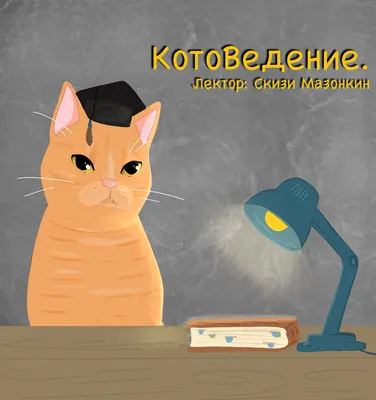 В Тверской области бешеный кот укусил человека - Газета «Караван Ярмарка»