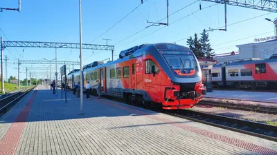 Узбекистон темир йуллари» объявила цену билета на поезд Ташкент — Самара –  Spot