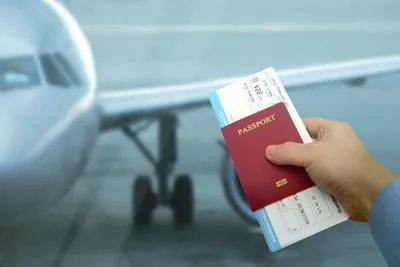 ✈ Зачем сайтам бронирования авиабилетов номер визы и как билет может помочь  в ее получении