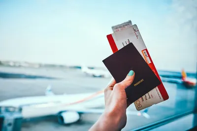 Как купить билеты на самолёт | Билет, Самолет, Туризм