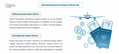 Как купить билет на самолет через интернет: быстро, эффективно, удобно