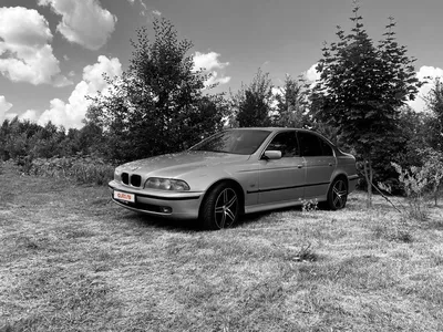 Решетка Радиатора Ноздри для BMW E39 5 Серии БМВ Е39 Черный Мат Седан  Туринг — Купить на BIGL.UA ᐉ Удобная Доставка (1140555220)