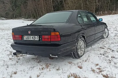 Как правильно купить BMW 5 series E34 с пробегом: легенды не умирают -  КОЛЕСА.ру – автомобильный журнал