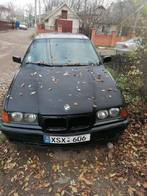 BMW 3 series (E36) 2.5 бензиновый 1995 | 325i на DRIVE2