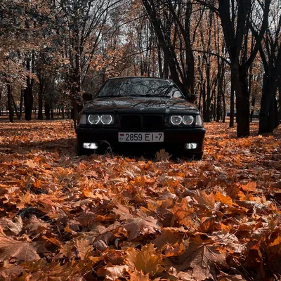 BMW 3 серия E36, 1996 г., дизель, механика, купить в Жодино - фото,  характеристики. av.by — объявления о продаже автомобилей. 104911413