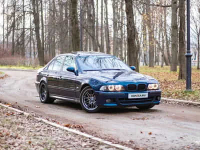 Продаю BMW Е39 Год: 2002 Объём: 2,5 л. ( механика ) Пробег : 115 тыс км  Немец 🇩🇪 Цвет: черный Новые диски r18 перед 9 j зад… | Instagram