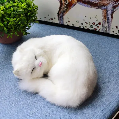 серый цвет большого кота стоковое изображение. изображение насчитывающей  цвет - 5847925