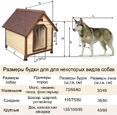 цветной рисунок большой собаки кавказского пастуха. Иллюстрация вектора -  иллюстрации насчитывающей ангстрома, шарж: 245583279