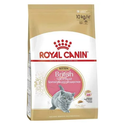 Чем кормить котенка-британца: рацион питания по возрасту | Royal Canin UA