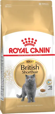 История британской кошки: происхождение породы
