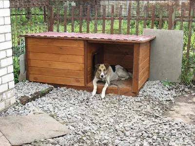 Красивая будка для собаки: изготовление своими руками, фото дизайнов,  проект и процесс строительства