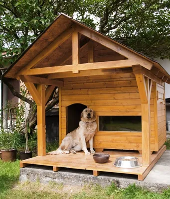 Как сделать будку для собаки своими руками | Строительный портал RMNT.RU |  Дзен