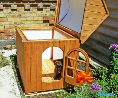Где купить будку для собаки? | Будка для собаки в Киеве