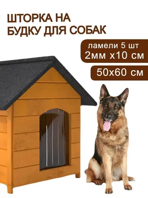 Деревянная будка для собаки: проектирование, изготовление, декорирование