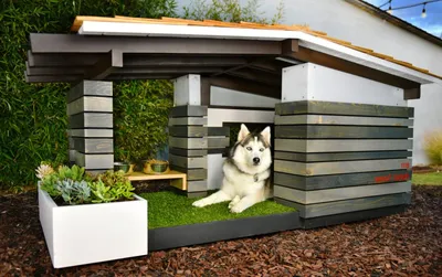 Деревянные домики для собак - купить или заказать на сайте