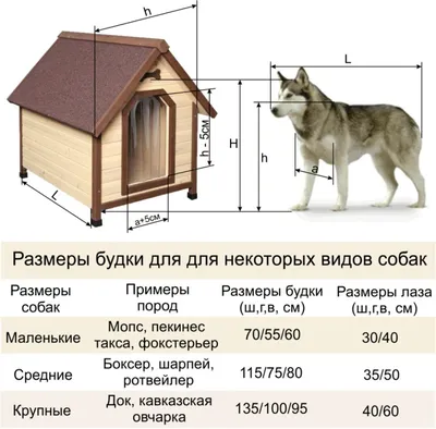 Будки для сторожевых собак: как рассчитать размеры, утеплить и сделать  конструкцию безопасной?