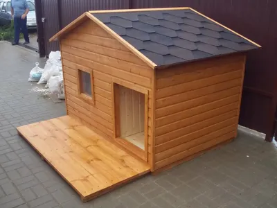 Дерев'яна будка для собаки: проектування, виготовлення, декорування