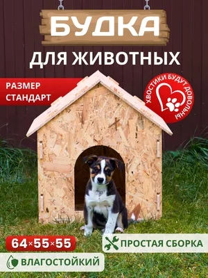 В Челябинской области школьники смастерили теплую будку для собак из приюта