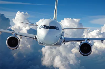 Аренда частного самолета в Киеве - цены, заказать самолет для частного  перелета в Украине