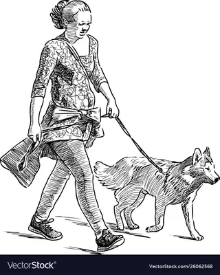 Человек с собакой на закате. Прогулка с любимцем. Австралийские пастырь и  владелец в природе Стоковое Фото - изображение насчитывающей отношение,  собач: 192664976