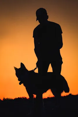 Любовь между человеком и собакой Стоковое Фото - изображение насчитывающей  приложение, друзья: 129829252