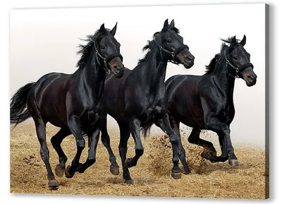 Черный конь , 4k, f/2.8, пиксельная …» — создано в Шедевруме