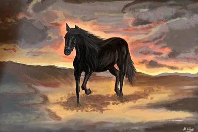 портрет красивого черного коня, изолированного на белом фоне. кадр лошади,  смотрящей в сторону. Стоковое Фото - изображение насчитывающей одно,  смотреть: 220693390