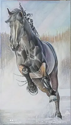 Голова лошади со всей гривой сияющей на черном фоне, картинка черного коня,  лошадь, животное фон картинки и Фото для бесплатной загрузки