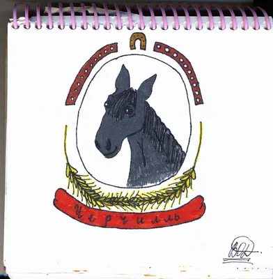 Чёрный конь на выпасе Stock Photo | Adobe Stock
