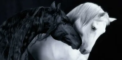 Топиари Конь черный из искусственной травы, купить по цене 200 000 руб.