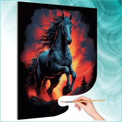 Купание черного коня - фотографии - equestrian.ru