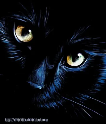 Пропал чёрный кот с зелёными глазами на Хомутовской улице, Иркутск |  Pet911.ru