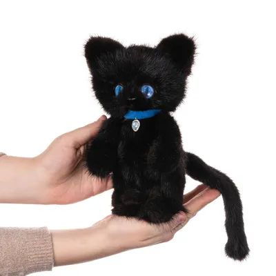 Фото черного кота с зелеными глазами фотографии