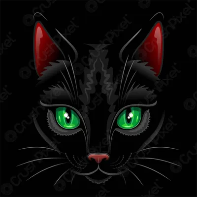 Для съемок нового фильма в Перми нужен черный кот и старшеклассники с  калмыцкой внешностью - 5 января 2024 - 59.ру