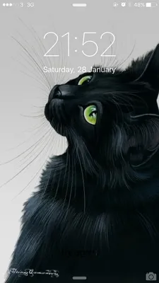 Черный кот с зелеными глазами Стоковое Изображение - изображение  насчитывающей любимчик, помехи: 190333003
