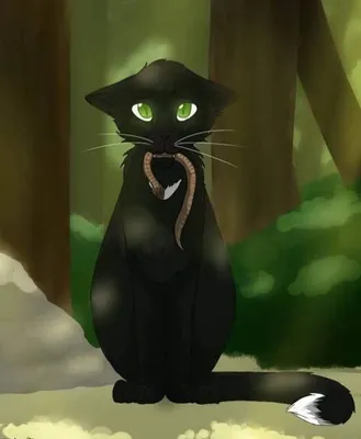 Красивый черный кот с зелеными глазами Стоковое Изображение - изображение  насчитывающей темно, меховой: 93579975