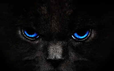 Показана картина черного кота с зелеными глазами. | Премиум Фото