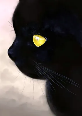 Черный котенок с желтыми глазами - 77 фото